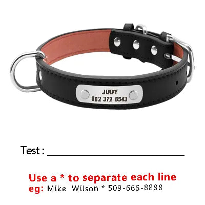 Personalized Dog Collar - Leather Padded Pet ID Collars