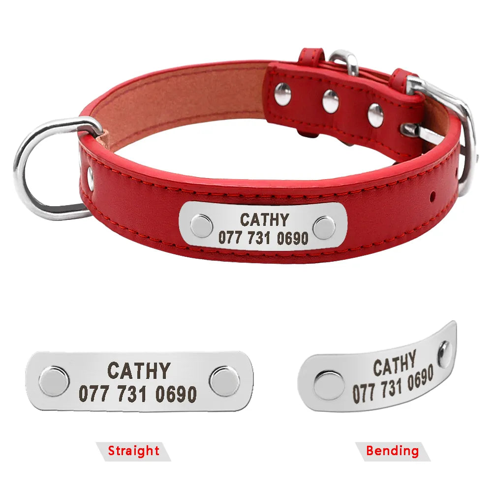 Personalized Dog Collar - Leather Padded Pet ID Collars
