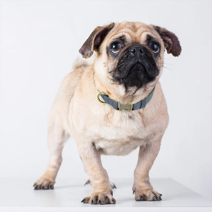 Personalized Anti-lost Dog Collar -  Custom  ID Tag Dog Collars