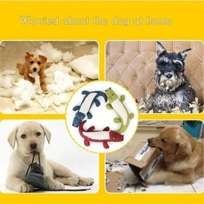 Dog Toys for Small & Large Dogs - Animal Training Accessories