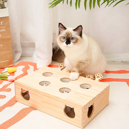 MewooFun Cat Toys - Solid Wood Toys for Indoor Kittens