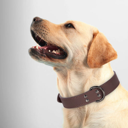 Adjustable Soft Padded Leather Dog Collars