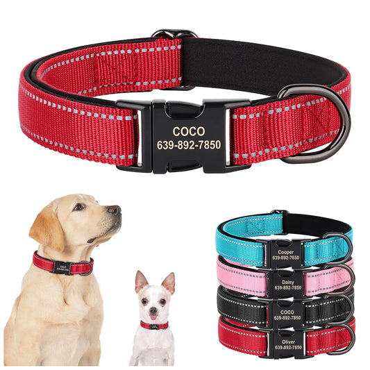 Personalized  Dog Collar - Customized Collars For Dogs With Engraved Nameplate