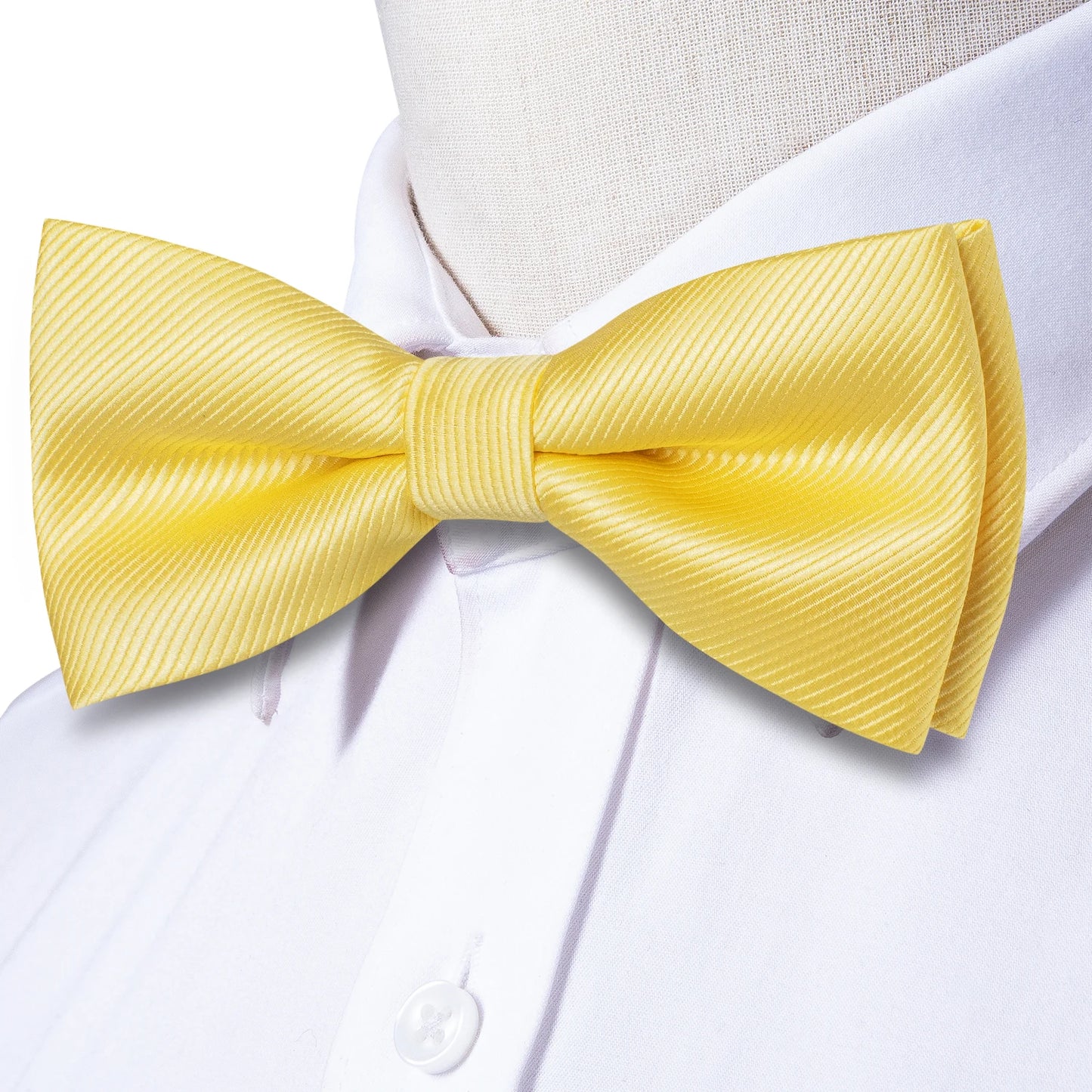 Classic Silk Butterfly Bow Tie Set for Men