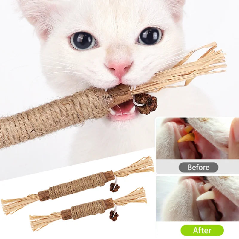 1 Pc Pet Cleaning Teeth Stick Pet