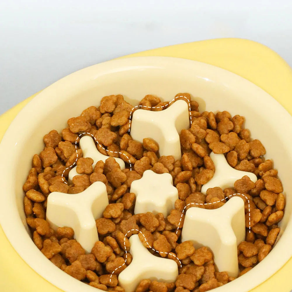 2-in-1 Stainless Steel Anti-Choking Slow Feeder Cat Bowl