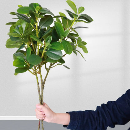 Faux Ficus Plants for Artificial Home Greenery