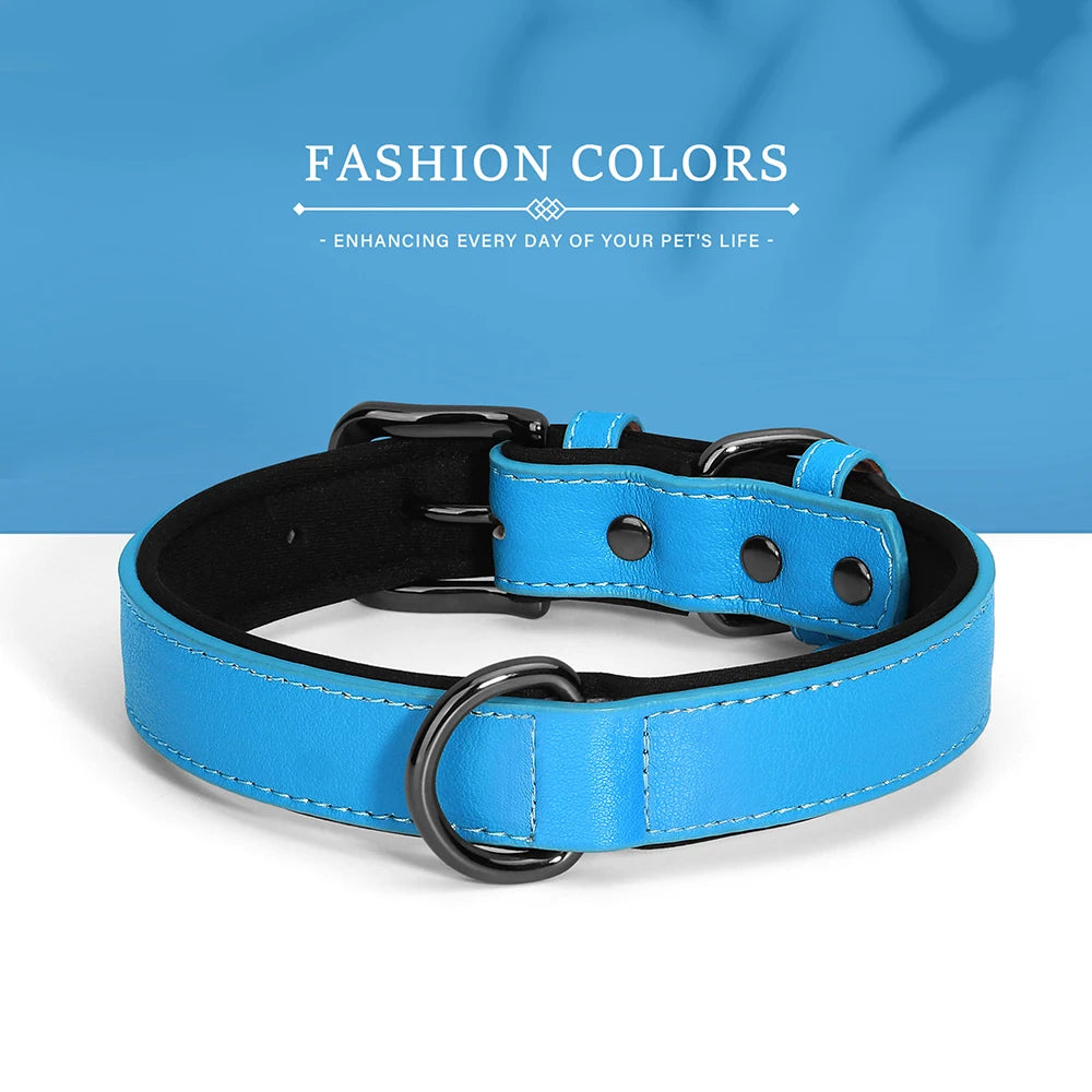 Adjustable Soft Padded Luxury Leather Dog Collar