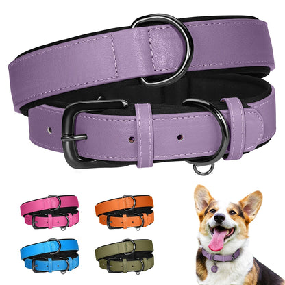 Adjustable Soft Padded Luxury Leather Dog Collars