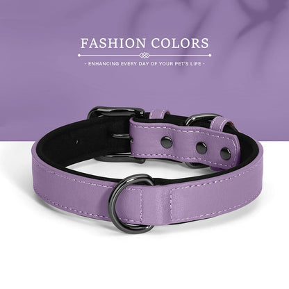 Adjustable Soft Padded Luxury Leather Dog Collar