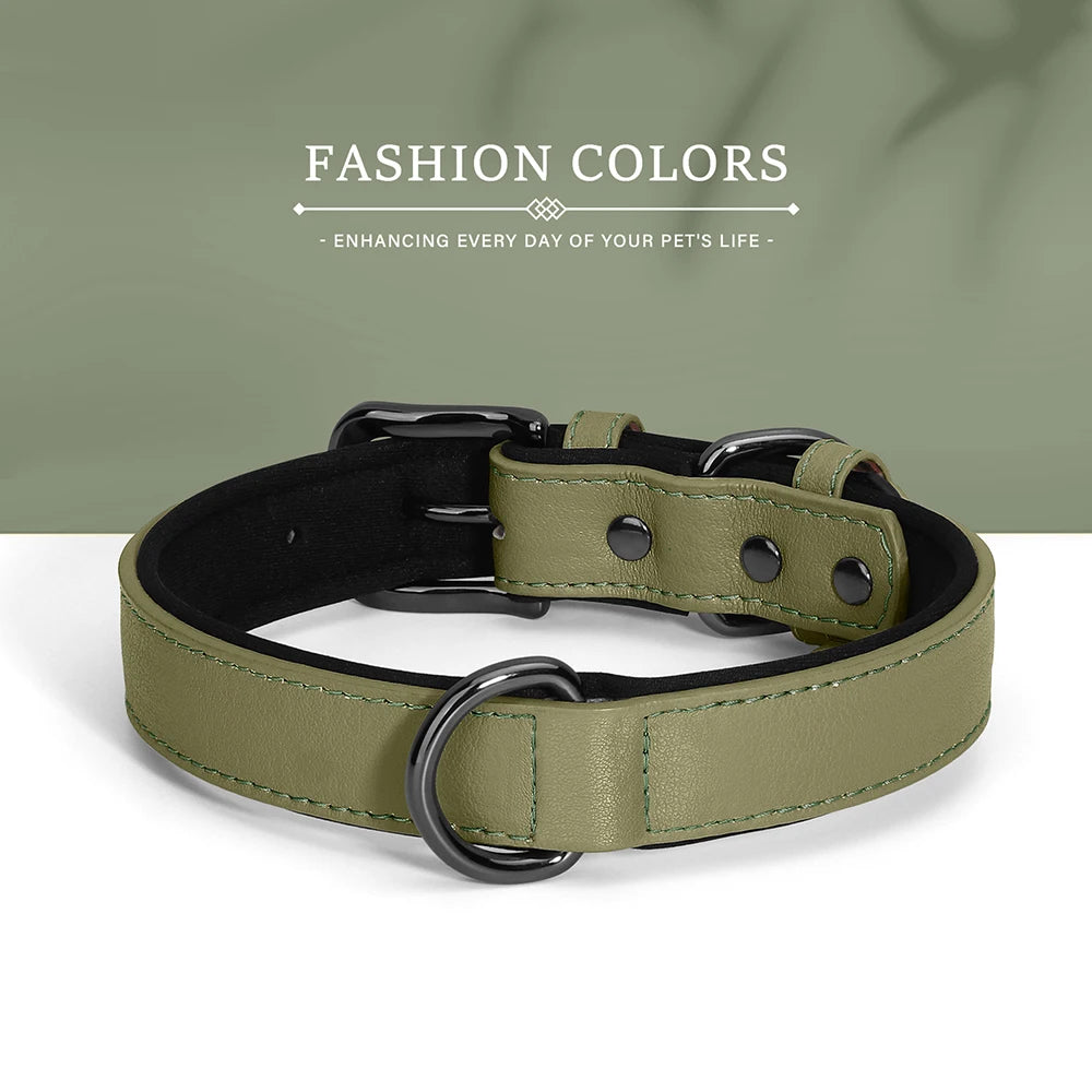 Adjustable Soft Padded Luxury Leather Dog Collar