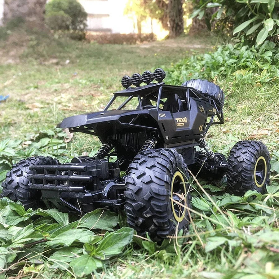Ample Power 2.4G RC Off-Road Buggy Truck