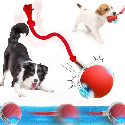 Automatic Rolling Rechargeable Interactive Dog Ball