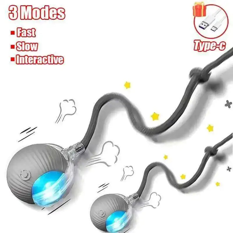 Automatic Rolling Rechargeable Interactive Dog Ball