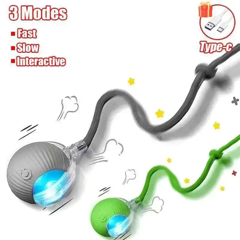 Automatic Rolling Rechargeable Interactive Dog Ball