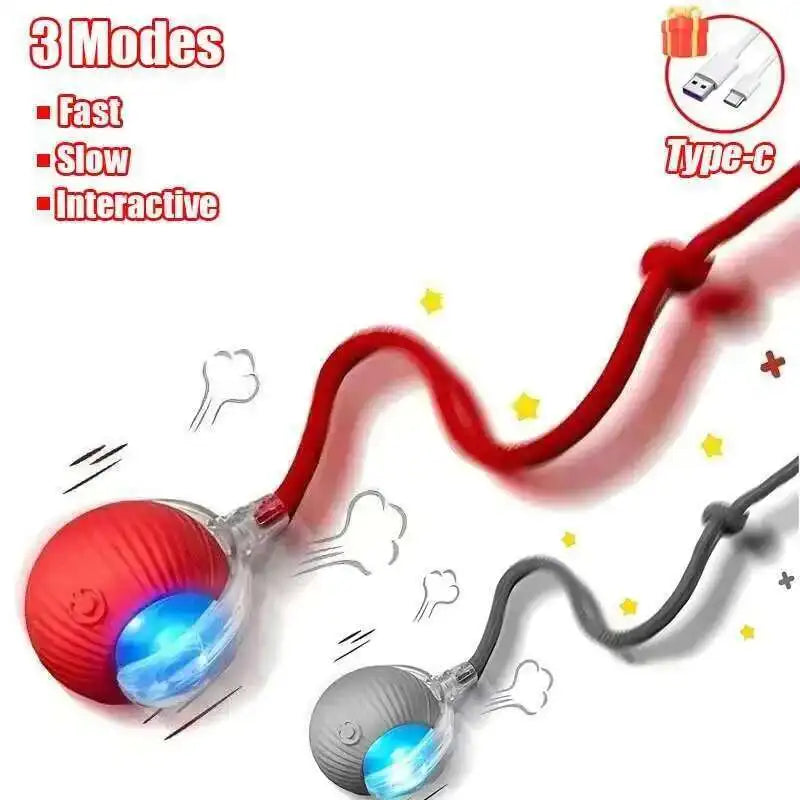 Automatic Rolling Rechargeable Interactive Dog Ball