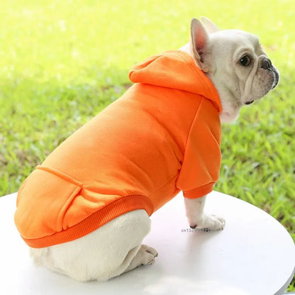 Colorful Small Medium Custom Dog Hoodie