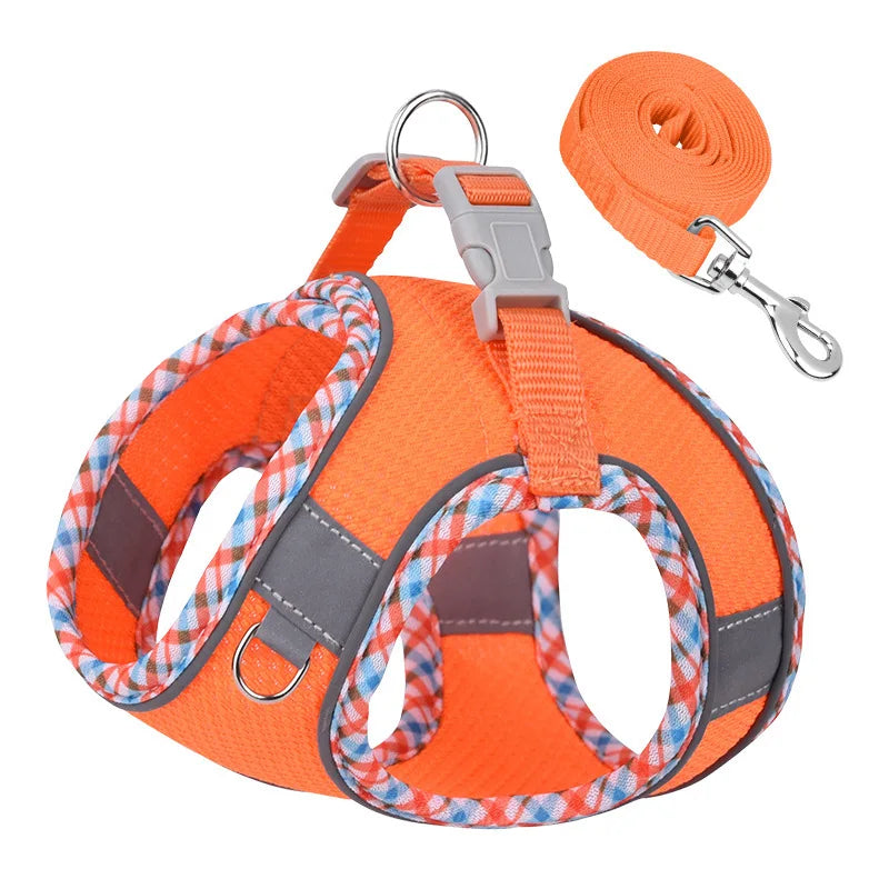 Comfortable Outdoor Walking Front Clip Dog Harness
