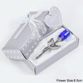 blue silver-box