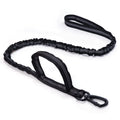 Black dog leash