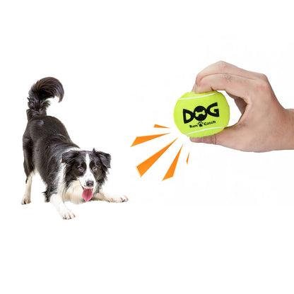 Dog Training Exercise Squeaky Tennis Balls