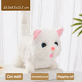 Bantam cat White