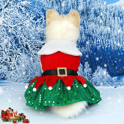 Festive Santa Claus Elf Style Christmas Dog Dress