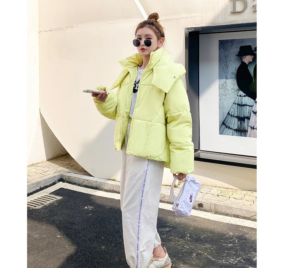 Korean Fluffy Hooded Breadwar Down Jacket