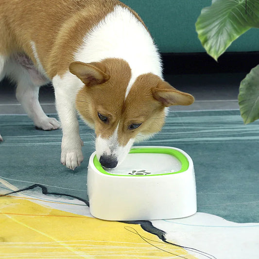 Gamelle d'eau potable pour chien - Gamelle en plastique anti-débordement pour chien