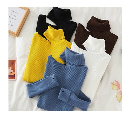 Lace Ruffle Turtleneck Sweater for Women's