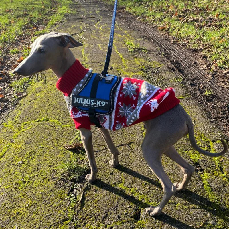 Süßer Hundepullover - Warmes Dackelpullover-Maskottchenkostüm 