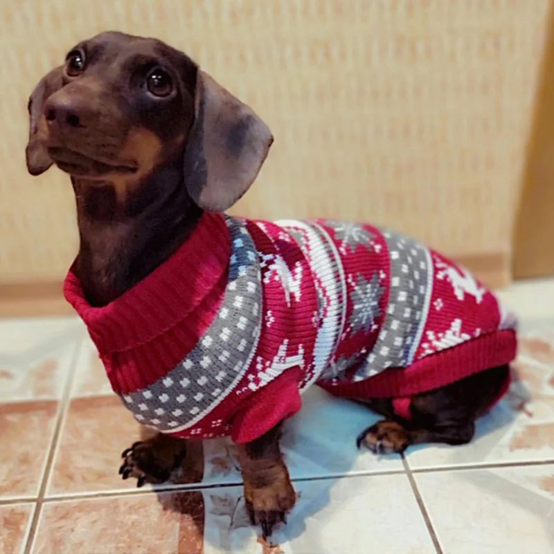 dog sweater, dog sweatshirts, pet sweater, cute dog sweaters, dachshund sweater, dachshund dog, puppy sweater, dog outfit, warm dog sweaters, pet accessories, puppy dachshund, dog costume,