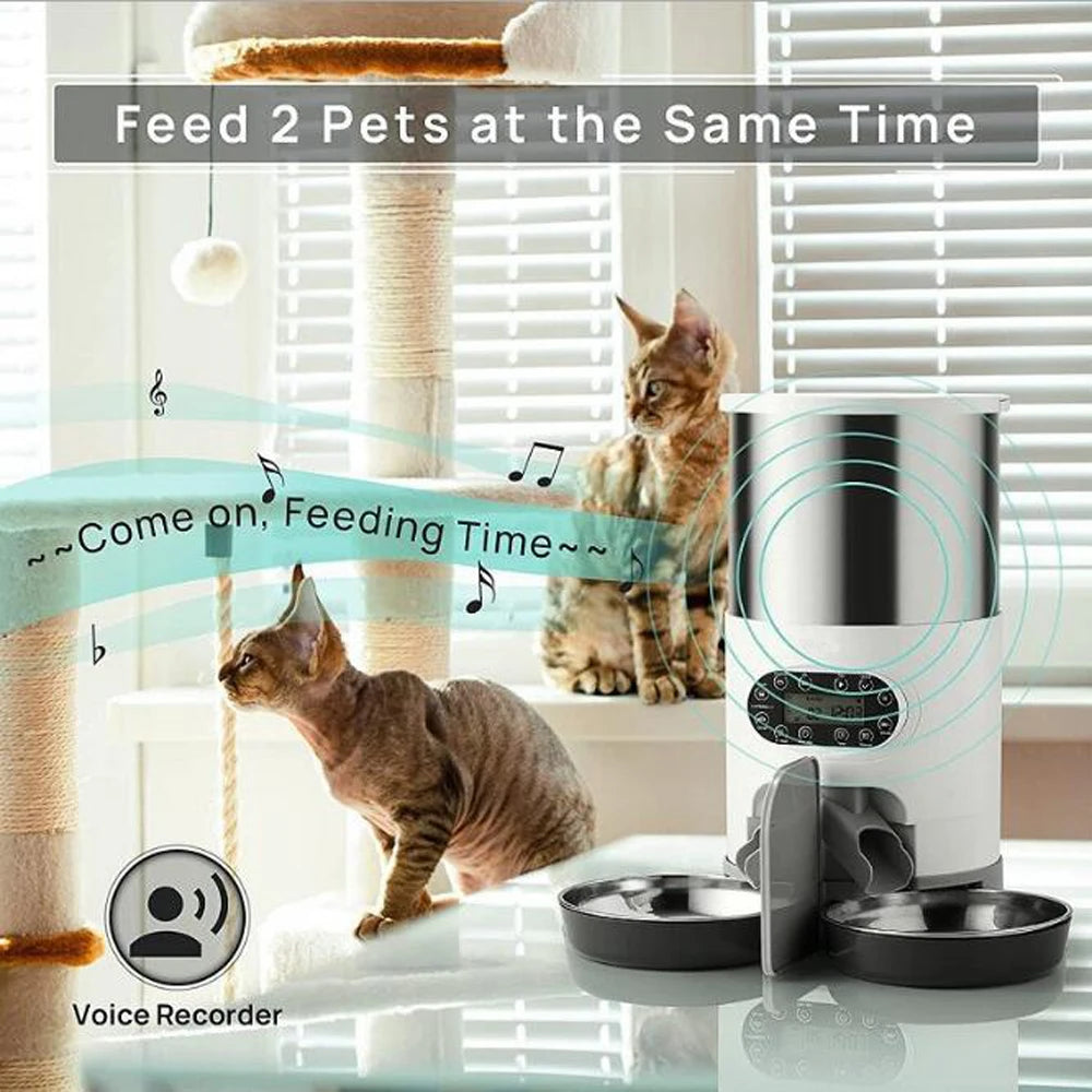 Pet Food Automatic Dispenser Stainless Steel Bowl