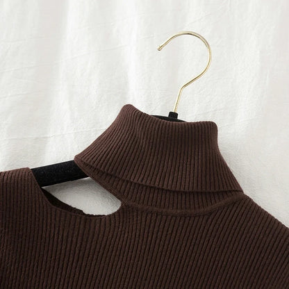 Lace Ruffle Turtleneck Sweater for Women's