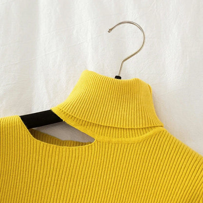 Lace Ruffle Turtleneck Sweater for Women's