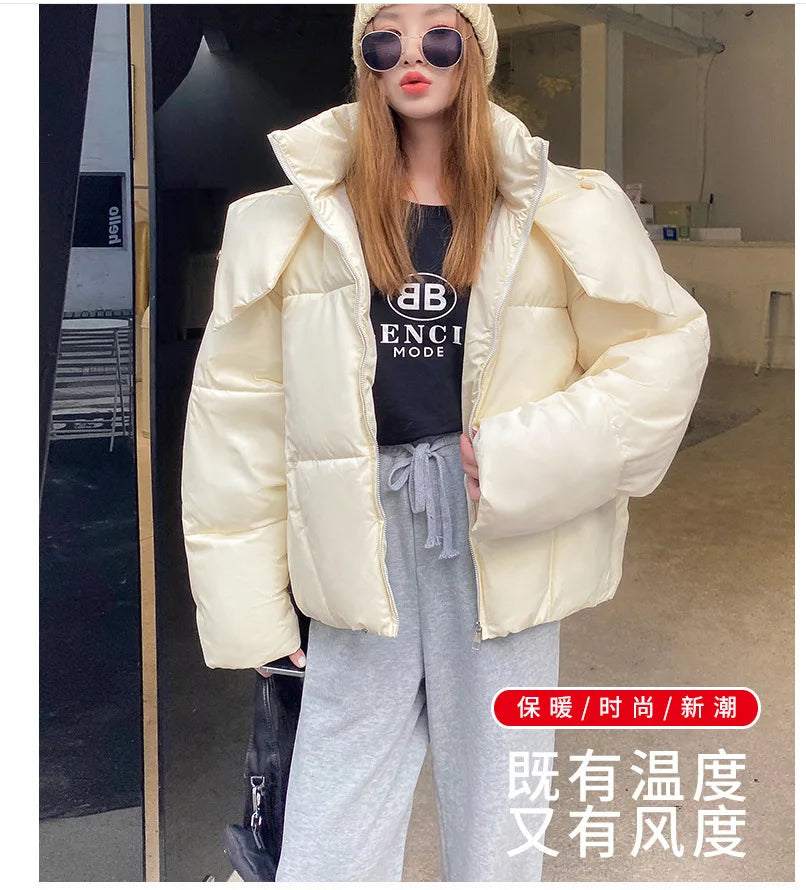 Korean Fluffy Hooded Breadwar Down Jacket
