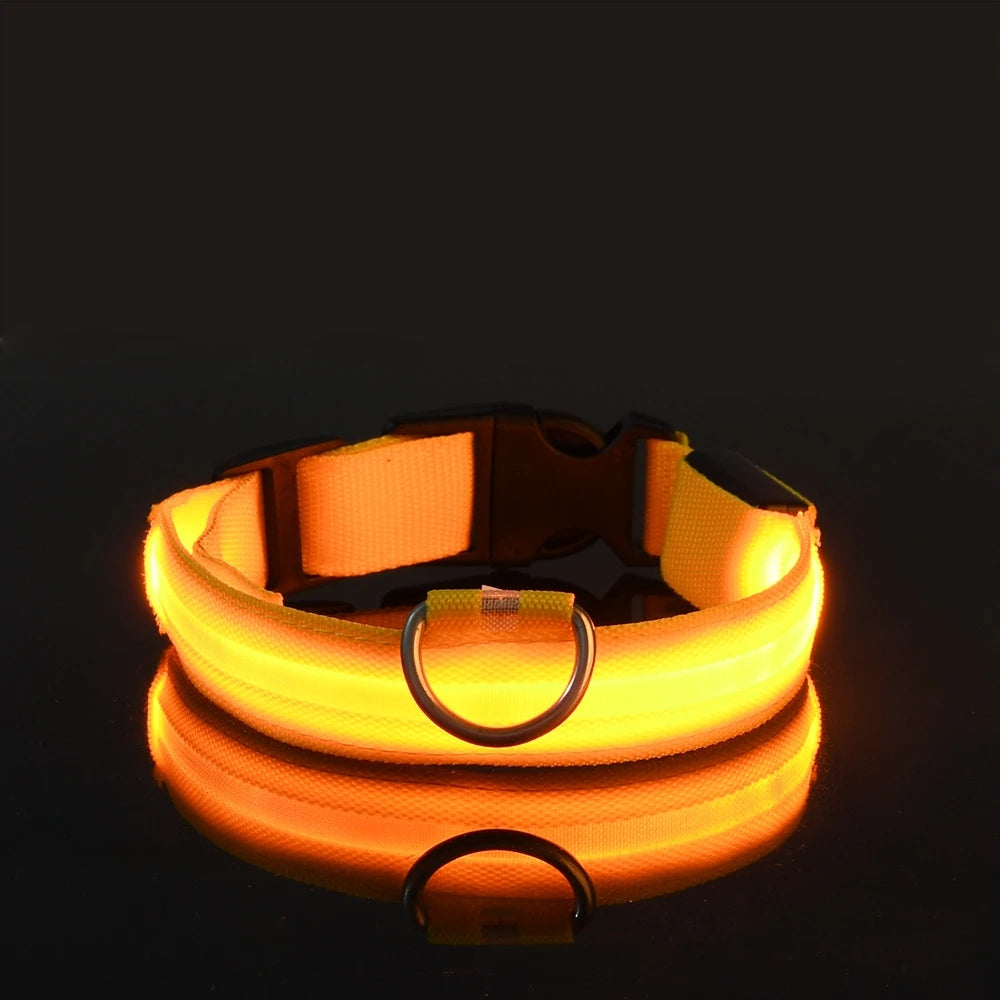 LED Flashing Glow Fluorescent Dog Collar