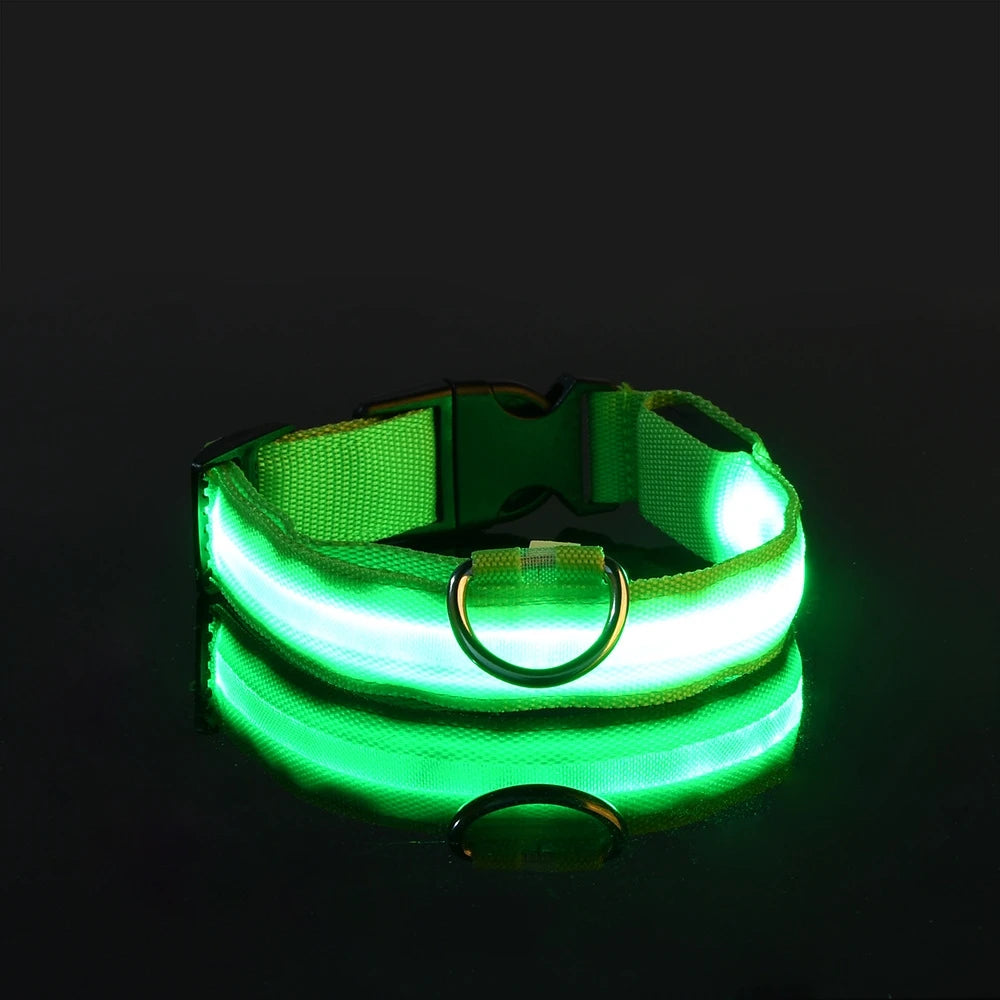 LED Flashing Glow Fluorescent Dog Collar