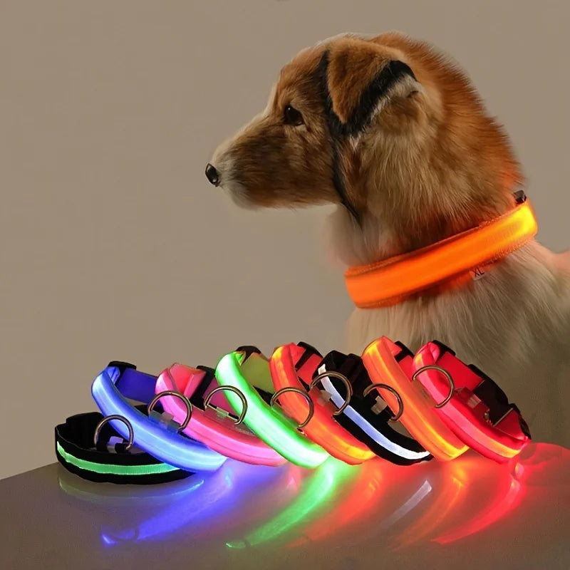 LED Night Safety Flashing Glow Fluorescent Dog Collar