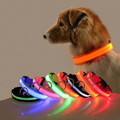 LED Night Safety Flashing Glow Fluorescent Dog Collar