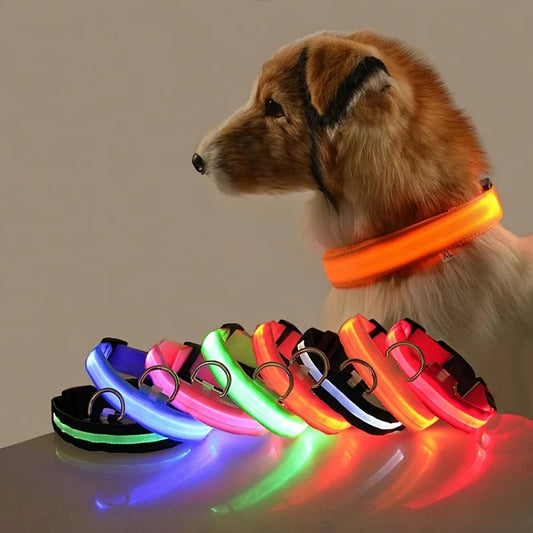 LED Night Safety Flashing Glow Fluorescent Dog Collar
