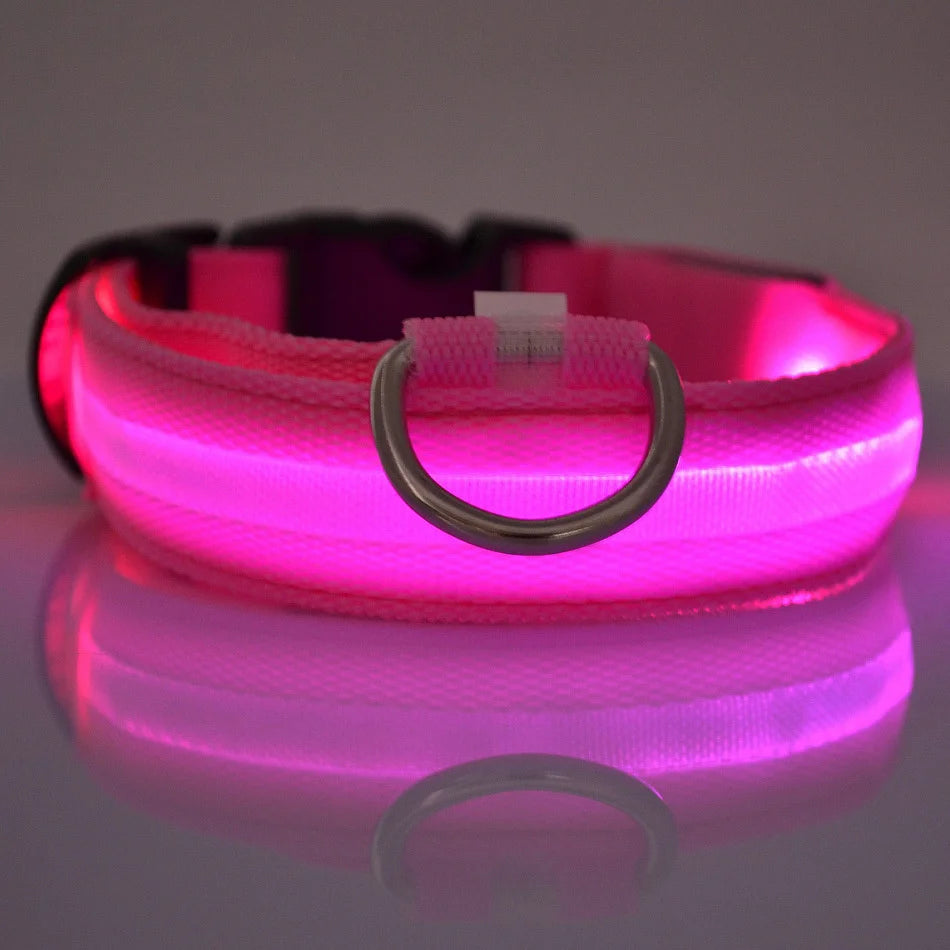 LED Night Safety Flashing Glow Fluorescent Dog Collar