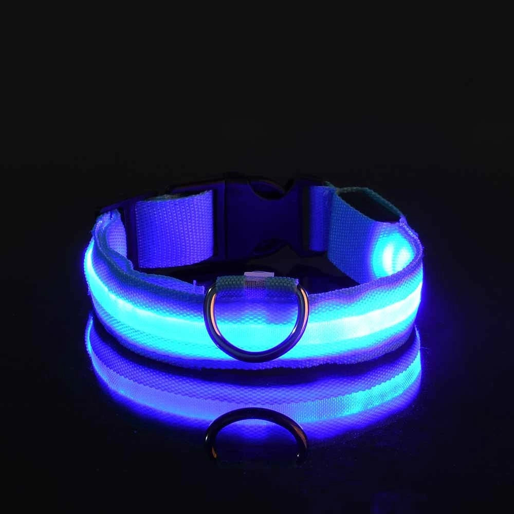 LED Night Safety Flashing Glow Fluorescent Dog Collar