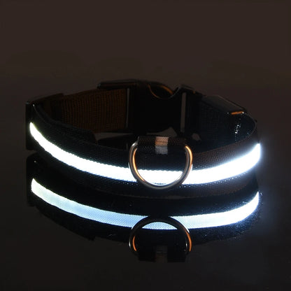 LED Night Safety Flashing Glow Fluorescent Dog Collar