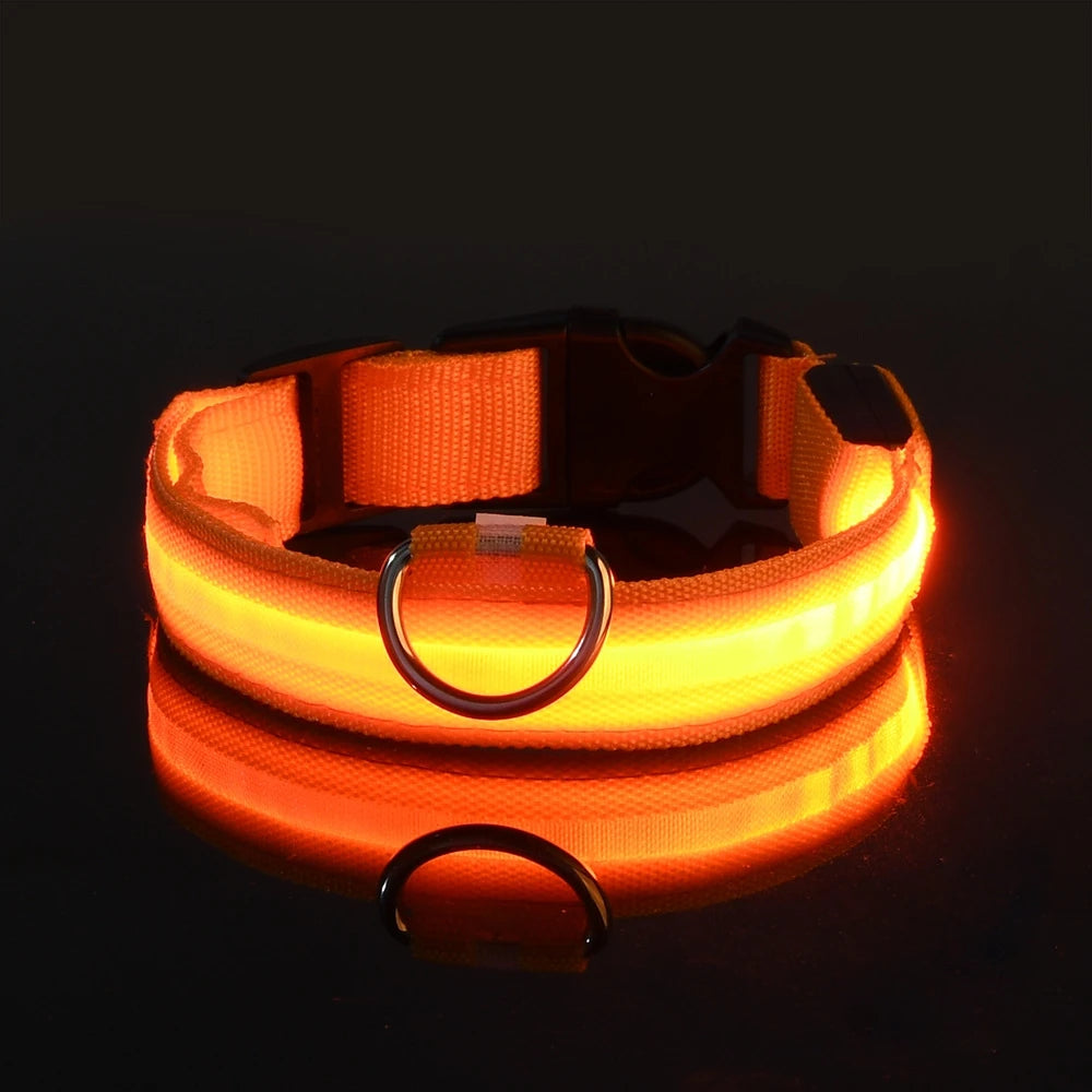 LED Night Safety Flashing Glow Fluorescent Dog Collar
