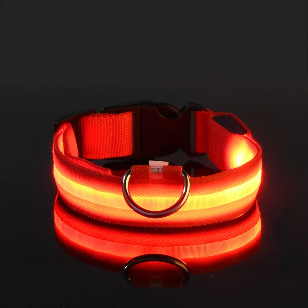 LED Night Safety Flashing Glow Fluorescent Dog Collar
