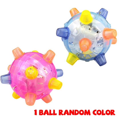Luminous Jump Bouncing Light Up Dog Ball