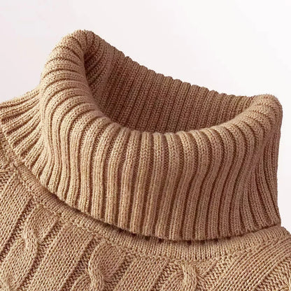 Men's Thin Elastic Knitted High Neck Sweater
