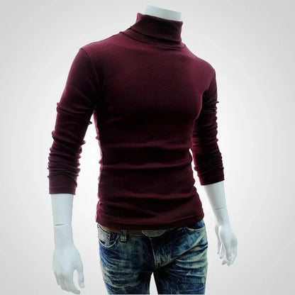 Mens Red Wine Turtleneck Thin Cotton Sweater
