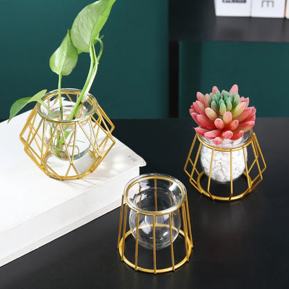 Modern Nordic Golden Glass Vase Home Decor